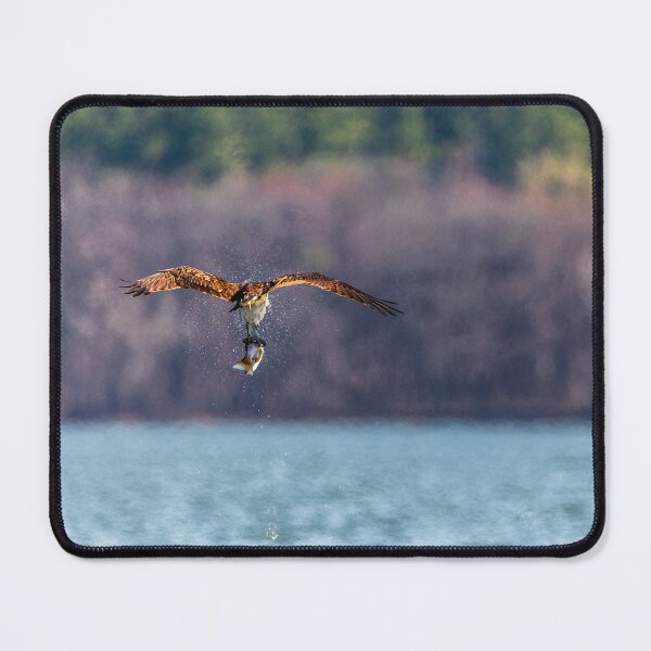 Item preview, Bird Fishing designed and sold by SolsaasFocus.