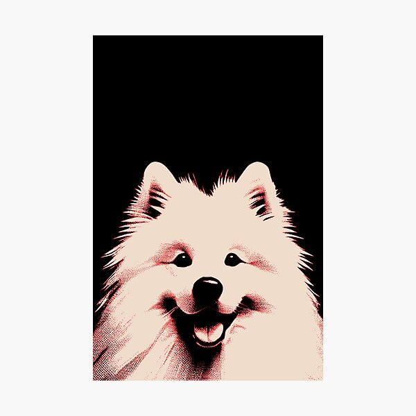 Photographic Print
