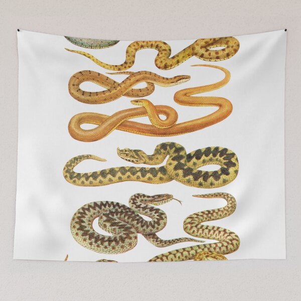 Item preview, Snakes designed and sold by franciscomff.