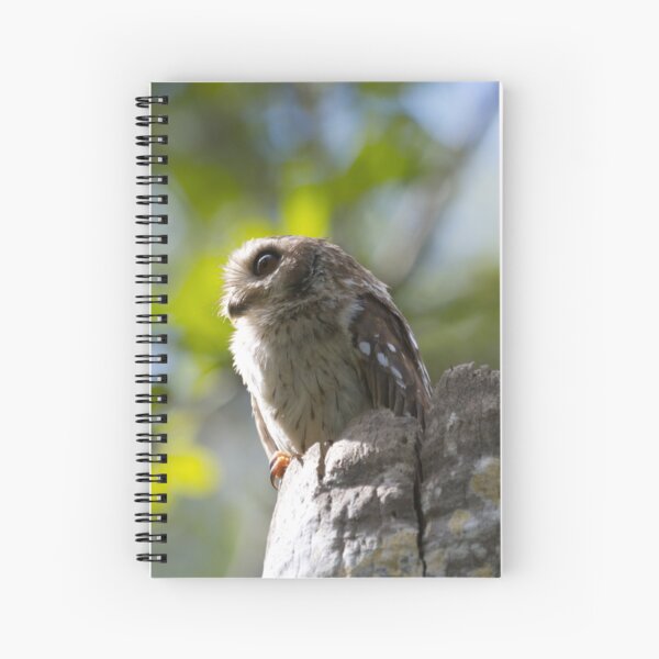 Item preview, Bare-legged Owl designed and sold by EnglandEcology.