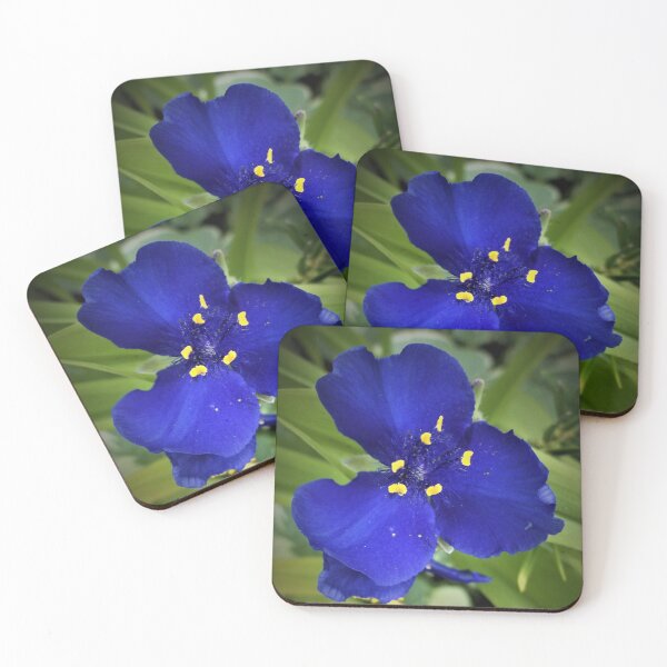 Item preview, Single Spiderwort designed and sold by Scott and Mary Schneider art_photography.