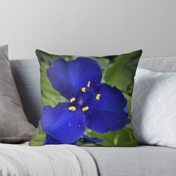Item preview, Single Spiderwort designed and sold by Scott and Mary Schneider art_photography.