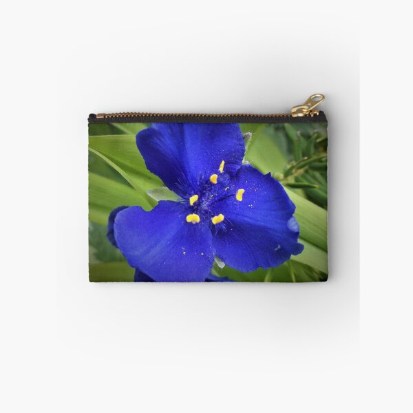 Item preview, Single Spiderwort designed and sold by Scott and Mary Schneider art_photography.