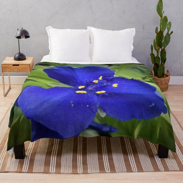 Item preview, Single Spiderwort designed and sold by Scott and Mary Schneider art_photography.