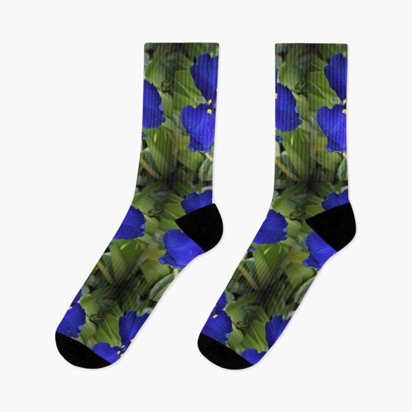 Item preview, Single Spiderwort designed and sold by Scott and Mary Schneider art_photography.