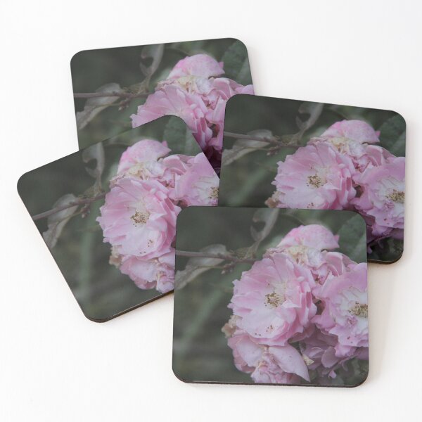 Item preview, A photo of a bunch of pink rose flowers! designed and sold by Jamesk82.
