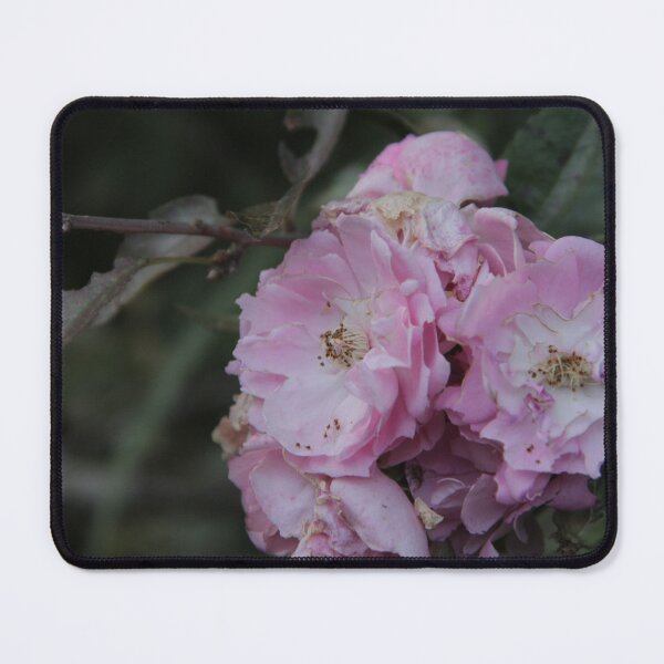 Item preview, A photo of a bunch of pink rose flowers! designed and sold by Jamesk82.