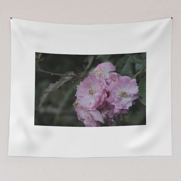 Item preview, A photo of a bunch of pink rose flowers! designed and sold by Jamesk82.