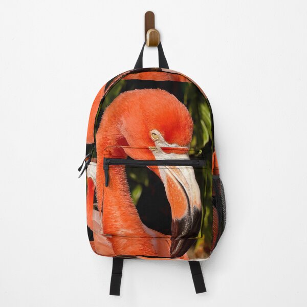 Item preview, Close-Up Flamingo Portrait designed and sold by M & Y.