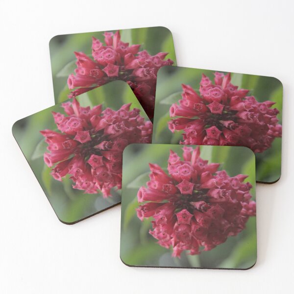 Item preview, A Dark Red Flower With Glass Shaped Petals. designed and sold by Jamesk82.