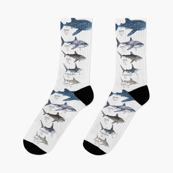 Item preview, SHARKS LENGTH, NAMES AND TEETH designed and sold by BEATRIZ ABAITUA.