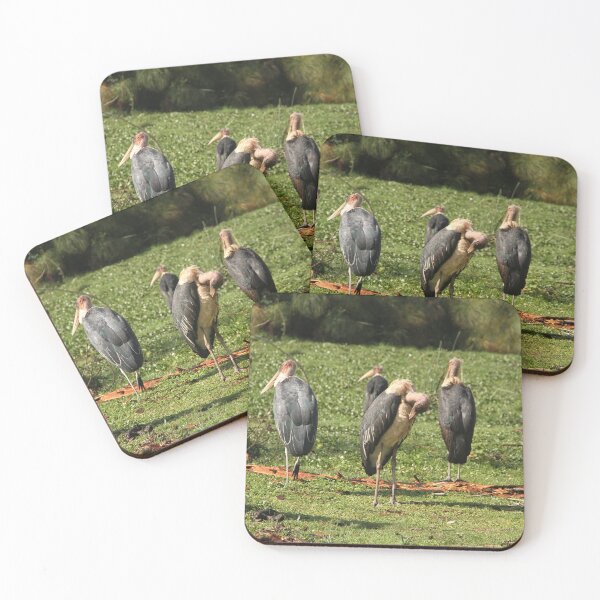 Item preview, A flock of Marabou Stork birds in Lake Naivasha! designed and sold by Jamesk82.