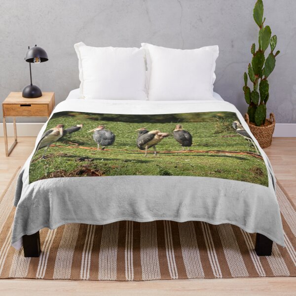 Item preview, A flock of Marabou Stork birds in Lake Naivasha! designed and sold by Jamesk82.