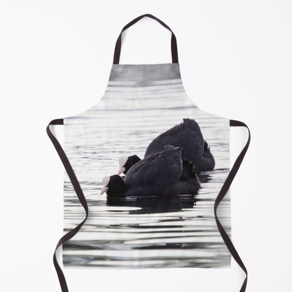 Item preview, Make it two. Eurasian coot designed and sold by Jouko Lehto Photography.