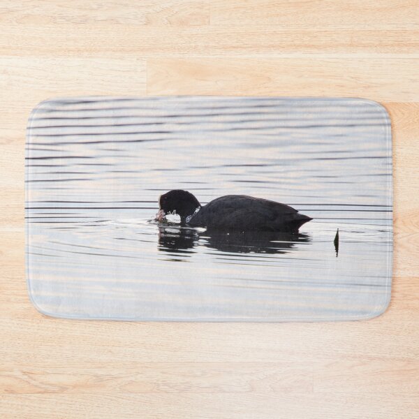 Item preview, Bubbles. Eurasian coot designed and sold by Jouko Lehto Photography.