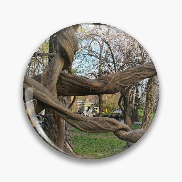 Item preview, Cismigiu Gardens Tree Bucharest designed and sold by caracatita75.