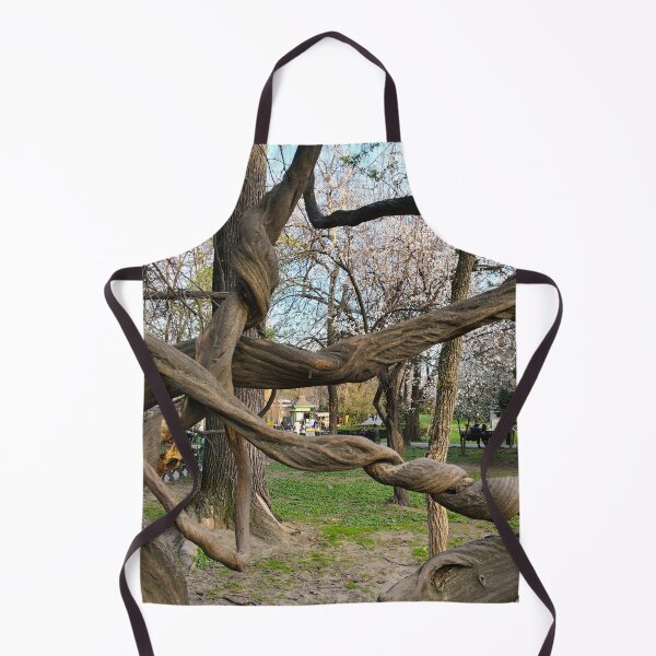 Item preview, Cismigiu Gardens Tree Bucharest designed and sold by caracatita75.