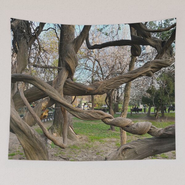 Item preview, Cismigiu Gardens Tree Bucharest designed and sold by caracatita75.