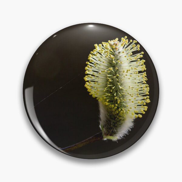 Item preview, Profile line. Willows designed and sold by Jouko Lehto Photography.