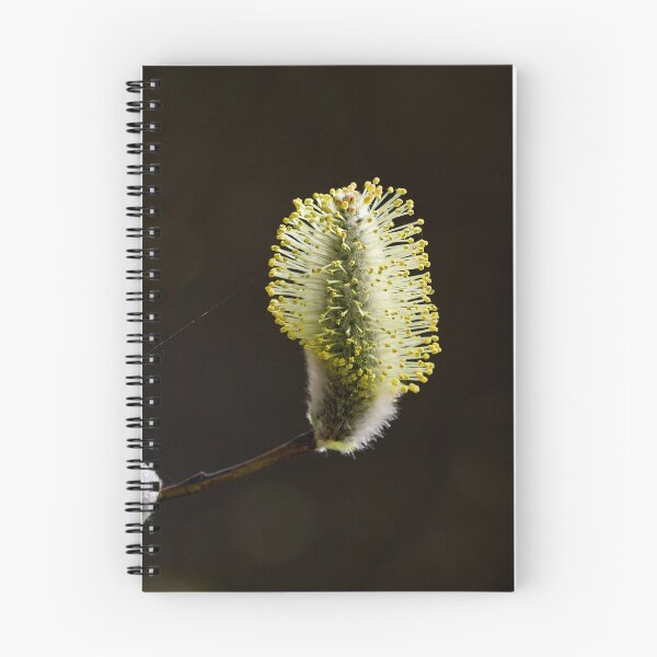 Item preview, Profile line. Willows designed and sold by Jouko Lehto Photography.