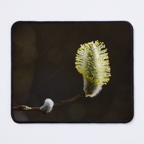 Item preview, Profile line. Willows designed and sold by Jouko Lehto Photography.