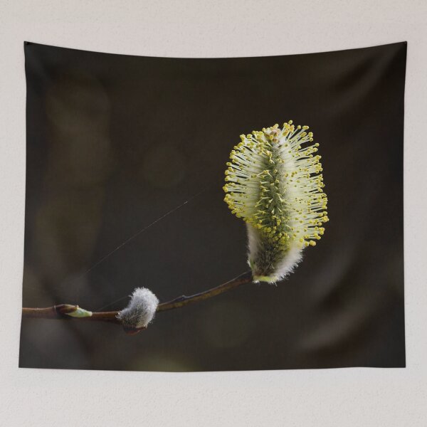 Item preview, Profile line. Willows designed and sold by Jouko Lehto Photography.