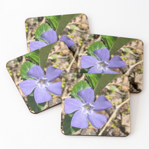 Item preview, Vinca designed and sold by Amanda1775.
