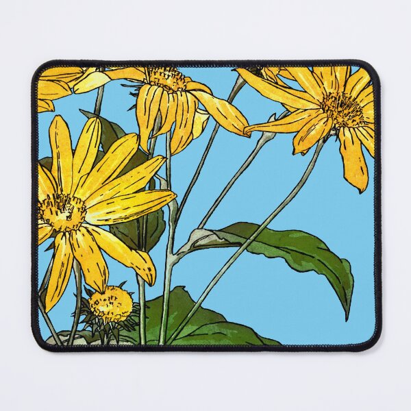 Item preview, Art Nouveau Sunflowers American Hannah Borger Overbeck 1915 designed and sold by Pixelchicken.