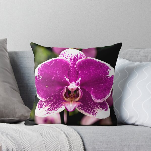 Artikelvorschau, lila Orchidee entworfen und verkauft von EmmePonsImages.
