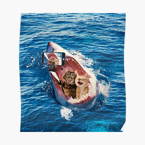 Cat Selfie - Selfie in the Great White Shark Jaw Poster