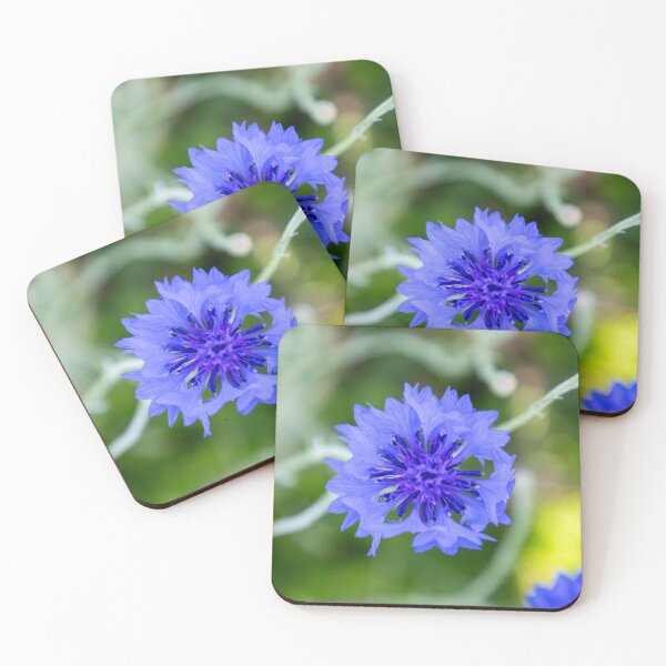 Item preview, Texas Bluebonnet designed and sold by The Wanderer.