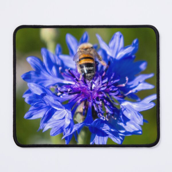 Item preview, Bluebonnet Bee designed and sold by The Wanderer.