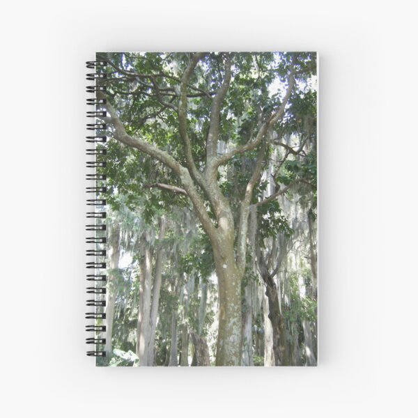 Item preview, Florida Trees in a Florida Forest designed and sold by KaleChub.
