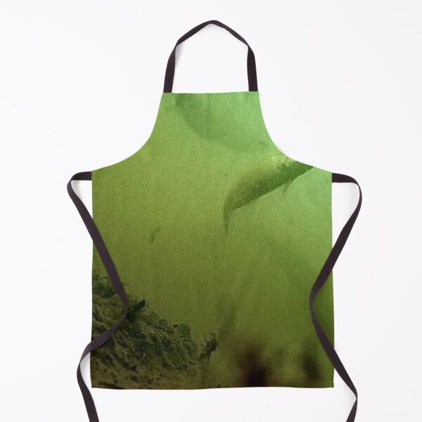 Item preview, School of Golden Shiners  designed and sold by CJRPics.