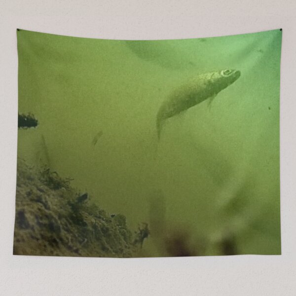 Item preview, School of Golden Shiners  designed and sold by CJRPics.