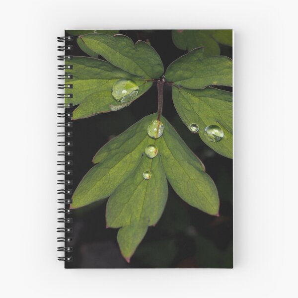 Item preview, Rain drops on leaves designed and sold by Cblifeisgood.