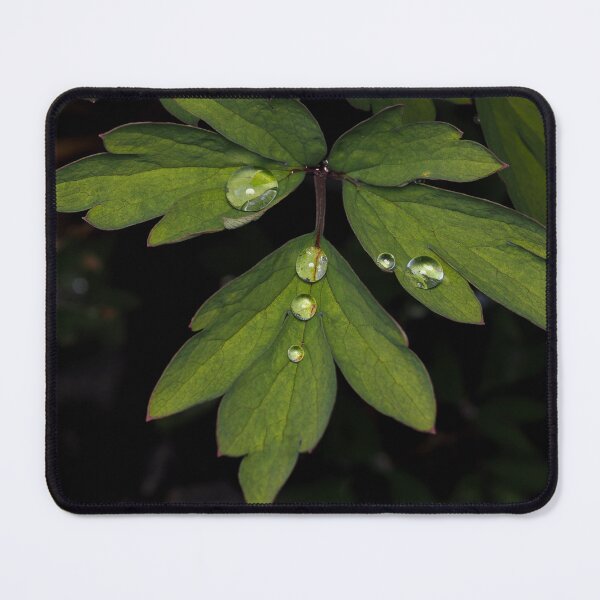 Item preview, Rain drops on leaves designed and sold by Cblifeisgood.