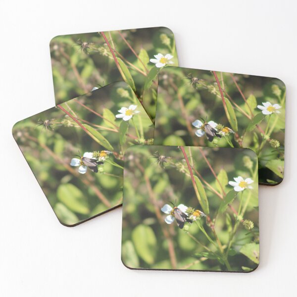 Item preview, Nature’s tiny treasures designed and sold by Birdgirlcreates.