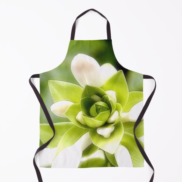 Item preview, Whispers of Purity designed and sold by SL Timeless Moments .