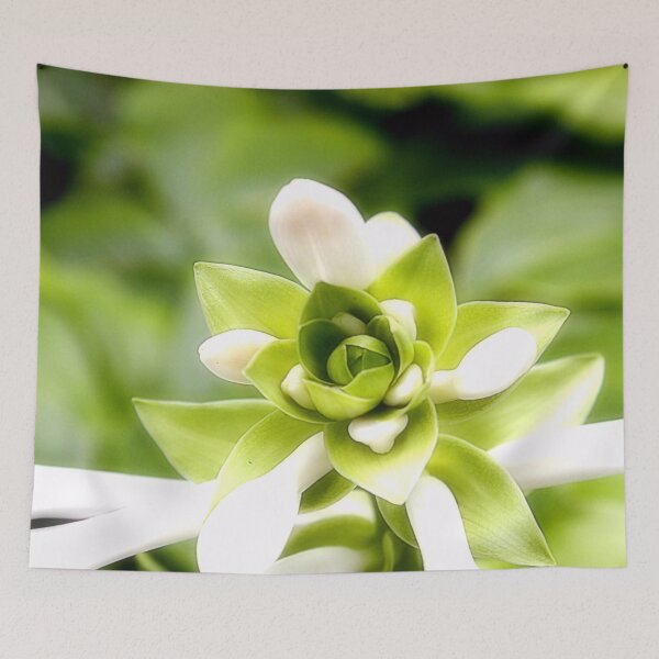 Item preview, Whispers of Purity designed and sold by SL Timeless Moments .