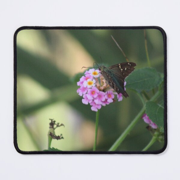 Item preview, Wings and wildflowers  designed and sold by Birdgirlcreates.