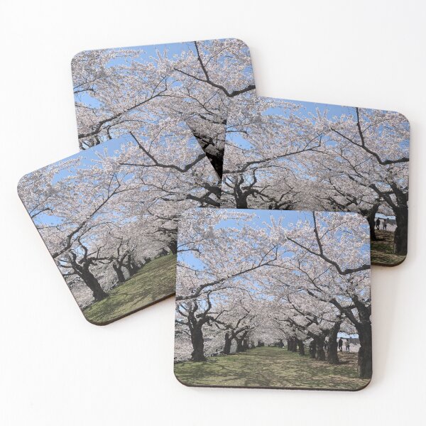 Item preview, JAPAN. Cherry Blossom Tunnel designed and sold by BlueWakeWorks.
