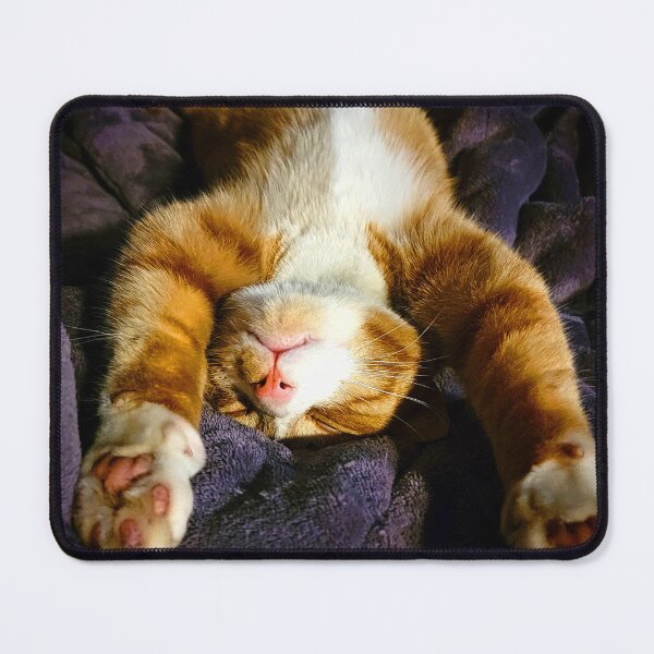 Item preview, Cozy Orange Tabby Stretch – Sleeping Cat Photography by J Packer Samms designed and sold by WhiskerSociety.