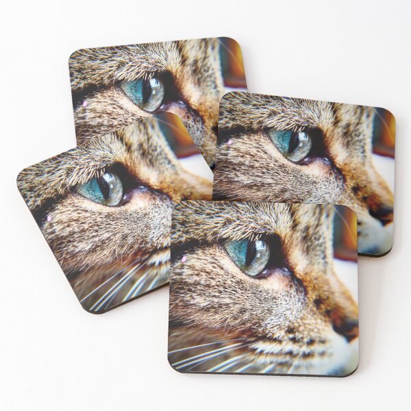 Item preview, Cat Eye Close-Up – Bold Tabby Photography by J Packer Samms designed and sold by WhiskerSociety.