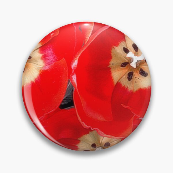 Item preview, "Crimson Accord" designed and sold by SL Timeless Moments .