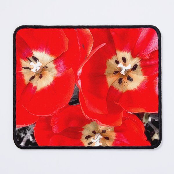 Item preview, "Crimson Accord" designed and sold by SL Timeless Moments .