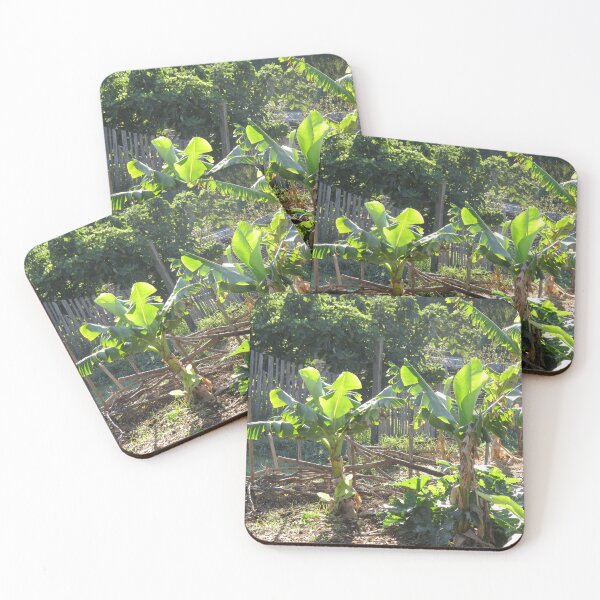 Item preview, Banana trees designed and sold by greentiger1.