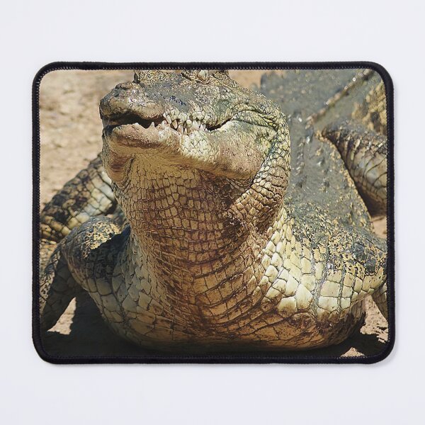 Item preview, Saltwater Crocodile designed and sold by Gotcha29.