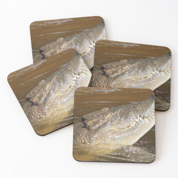 Item preview, Australian Saltwater Crocodile Head Photo designed and sold by Gotcha29.