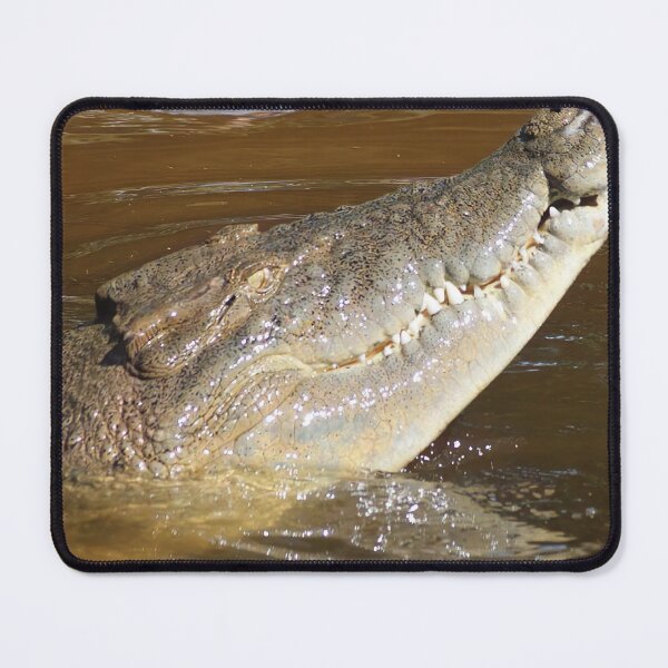 Item preview, Australian Saltwater Crocodile Head Photo designed and sold by Gotcha29.